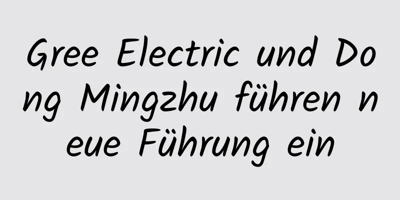 Gree Electric und Dong Mingzhu führen neue Führung ein