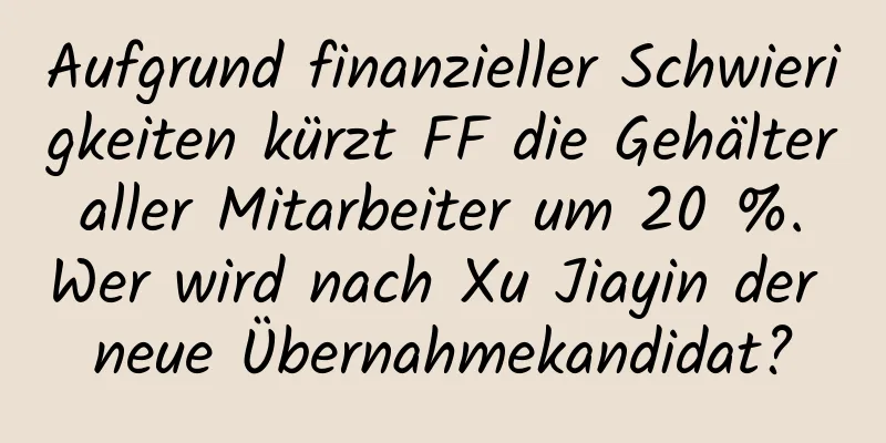 Aufgrund finanzieller Schwierigkeiten kürzt FF die Gehälter aller Mitarbeiter um 20 %. Wer wird nach Xu Jiayin der neue Übernahmekandidat?