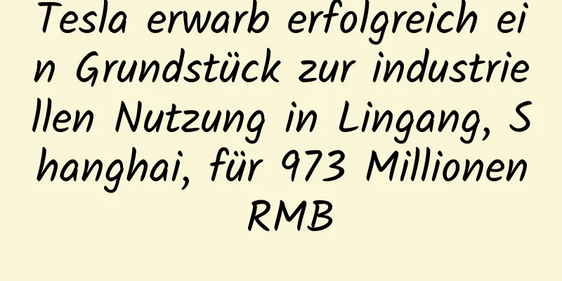 Tesla erwarb erfolgreich ein Grundstück zur industriellen Nutzung in Lingang, Shanghai, für 973 Millionen RMB