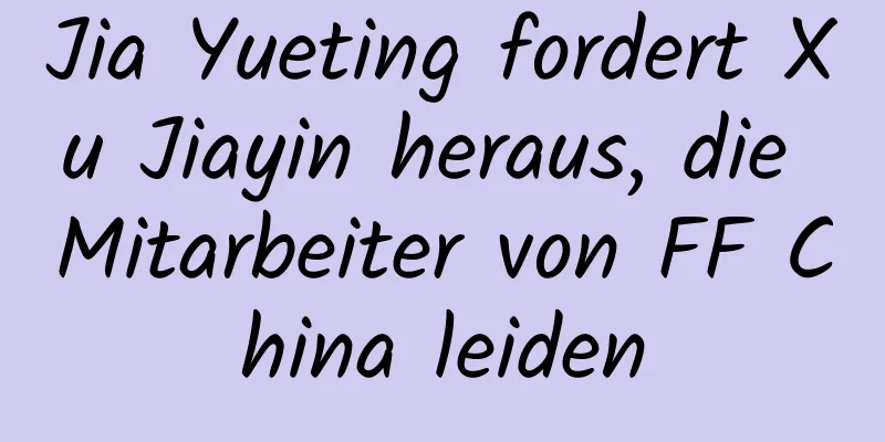 Jia Yueting fordert Xu Jiayin heraus, die Mitarbeiter von FF China leiden