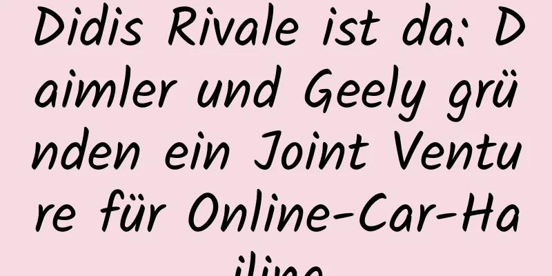 Didis Rivale ist da: Daimler und Geely gründen ein Joint Venture für Online-Car-Hailing