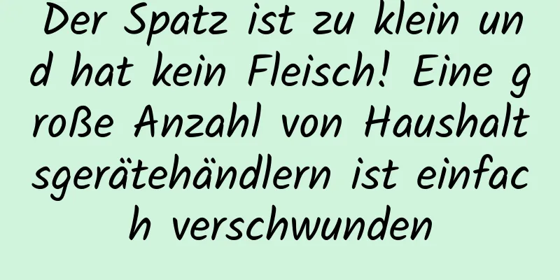 Der Spatz ist zu klein und hat kein Fleisch! Eine große Anzahl von Haushaltsgerätehändlern ist einfach verschwunden