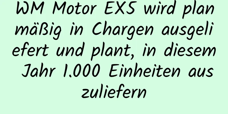 WM Motor EX5 wird planmäßig in Chargen ausgeliefert und plant, in diesem Jahr 1.000 Einheiten auszuliefern