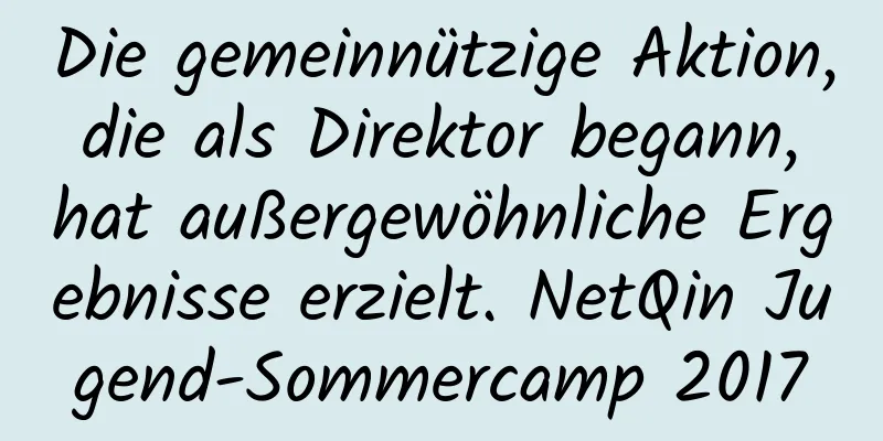Die gemeinnützige Aktion, die als Direktor begann, hat außergewöhnliche Ergebnisse erzielt. NetQin Jugend-Sommercamp 2017