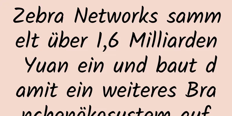 Zebra Networks sammelt über 1,6 Milliarden Yuan ein und baut damit ein weiteres Branchenökosystem auf