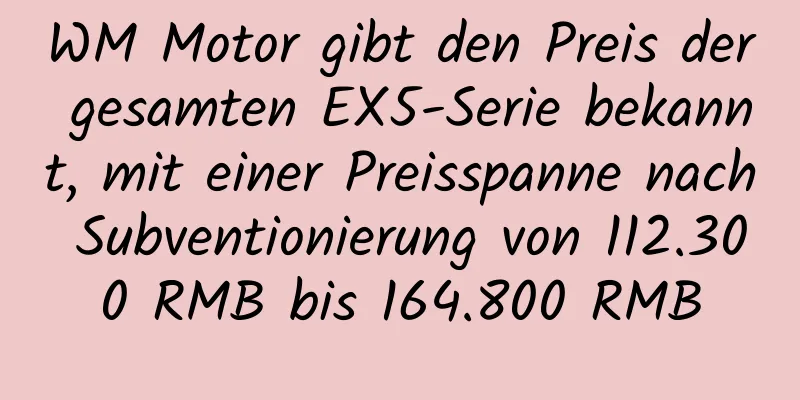 WM Motor gibt den Preis der gesamten EX5-Serie bekannt, mit einer Preisspanne nach Subventionierung von 112.300 RMB bis 164.800 RMB