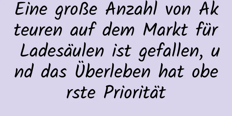 Eine große Anzahl von Akteuren auf dem Markt für Ladesäulen ist gefallen, und das Überleben hat oberste Priorität