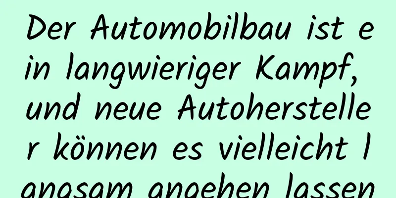 Der Automobilbau ist ein langwieriger Kampf, und neue Autohersteller können es vielleicht langsam angehen lassen