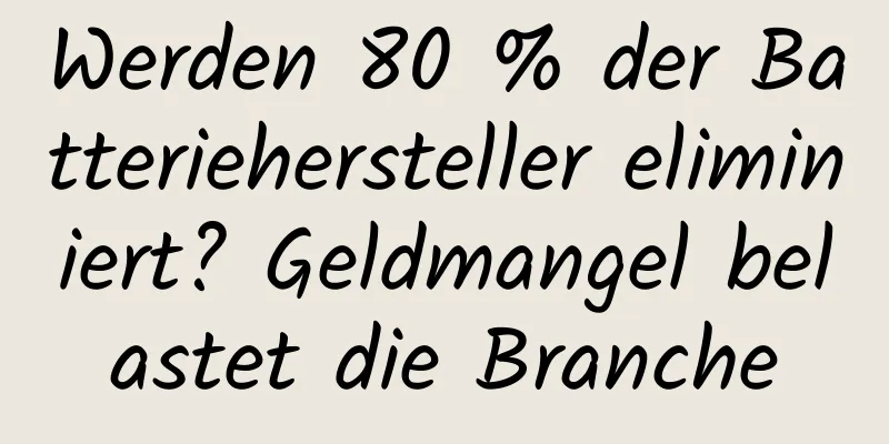 Werden 80 % der Batteriehersteller eliminiert? Geldmangel belastet die Branche