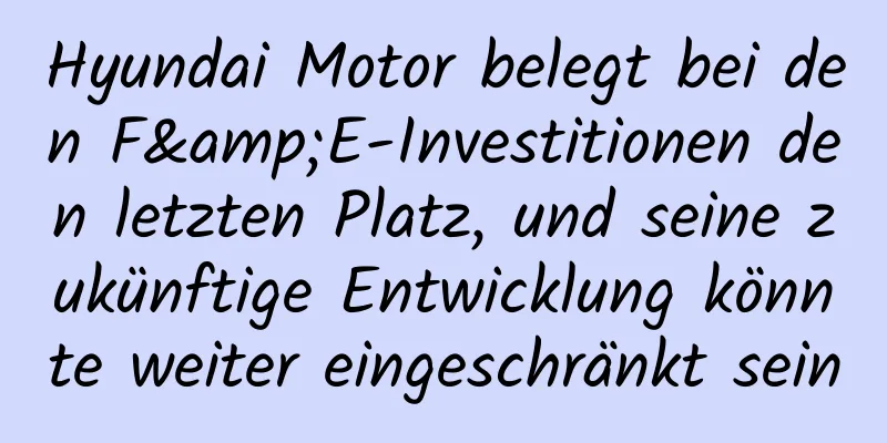 Hyundai Motor belegt bei den F&E-Investitionen den letzten Platz, und seine zukünftige Entwicklung könnte weiter eingeschränkt sein