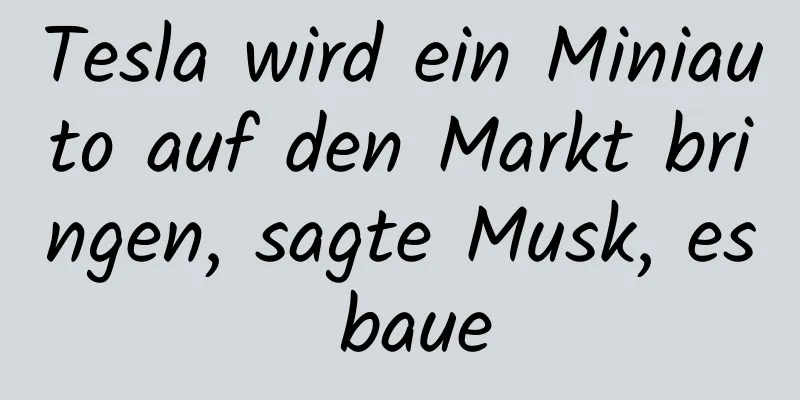 Tesla wird ein Miniauto auf den Markt bringen, sagte Musk, es baue