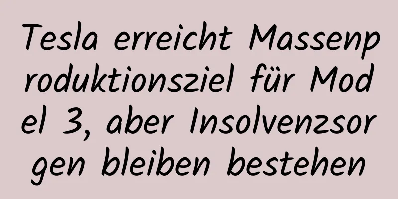 Tesla erreicht Massenproduktionsziel für Model 3, aber Insolvenzsorgen bleiben bestehen