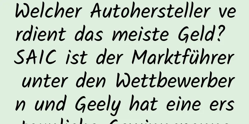 Welcher Autohersteller verdient das meiste Geld? SAIC ist der Marktführer unter den Wettbewerbern und Geely hat eine erstaunliche Gewinnspanne