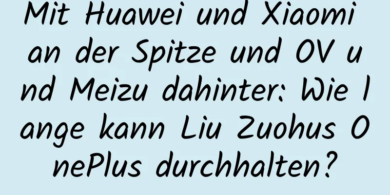 Mit Huawei und Xiaomi an der Spitze und OV und Meizu dahinter: Wie lange kann Liu Zuohus OnePlus durchhalten?