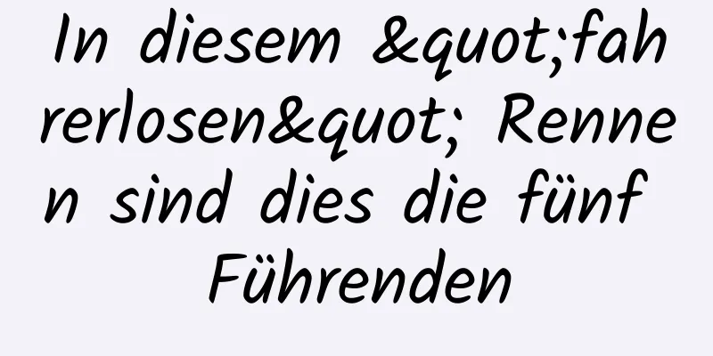 In diesem "fahrerlosen" Rennen sind dies die fünf Führenden