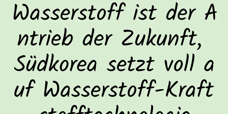 Wasserstoff ist der Antrieb der Zukunft, Südkorea setzt voll auf Wasserstoff-Kraftstofftechnologie