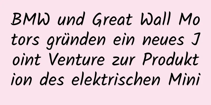BMW und Great Wall Motors gründen ein neues Joint Venture zur Produktion des elektrischen Mini