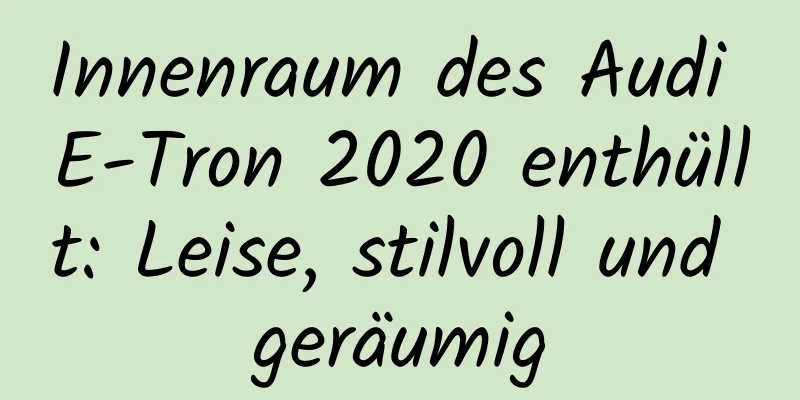 Innenraum des Audi E-Tron 2020 enthüllt: Leise, stilvoll und geräumig