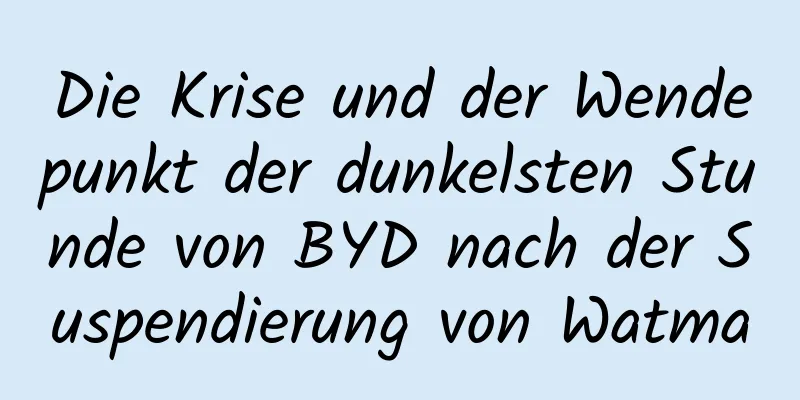 Die Krise und der Wendepunkt der dunkelsten Stunde von BYD nach der Suspendierung von Watma