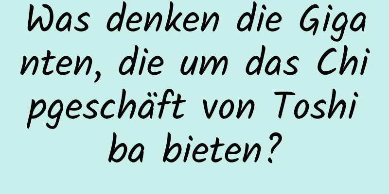 Was denken die Giganten, die um das Chipgeschäft von Toshiba bieten?