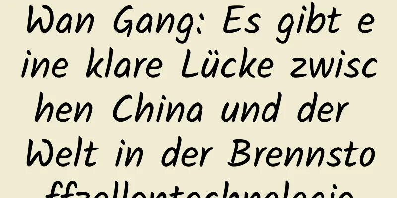 Wan Gang: Es gibt eine klare Lücke zwischen China und der Welt in der Brennstoffzellentechnologie