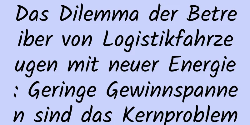 Das Dilemma der Betreiber von Logistikfahrzeugen mit neuer Energie: Geringe Gewinnspannen sind das Kernproblem