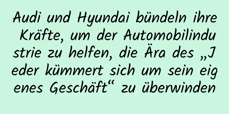 Audi und Hyundai bündeln ihre Kräfte, um der Automobilindustrie zu helfen, die Ära des „Jeder kümmert sich um sein eigenes Geschäft“ zu überwinden