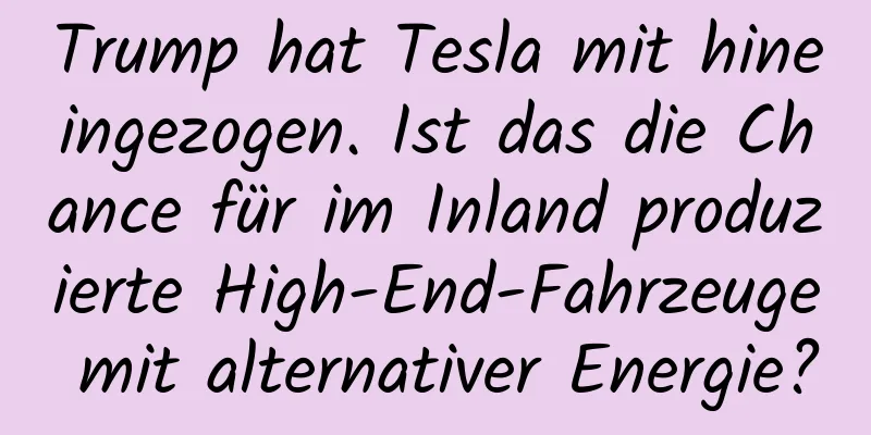Trump hat Tesla mit hineingezogen. Ist das die Chance für im Inland produzierte High-End-Fahrzeuge mit alternativer Energie?