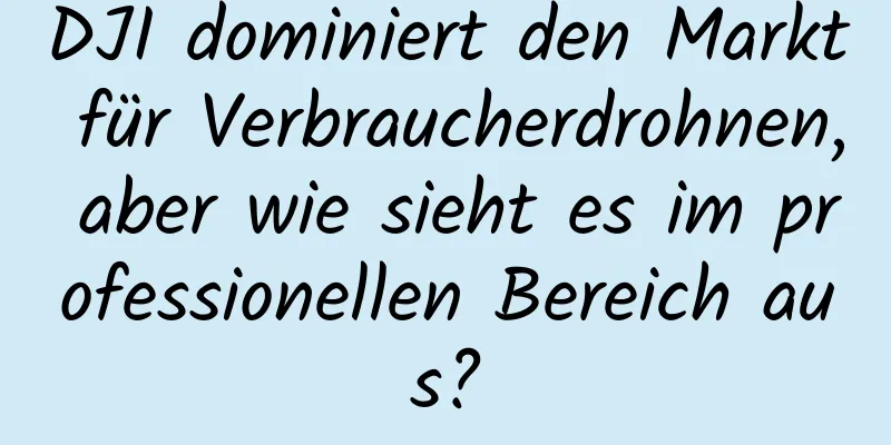 DJI dominiert den Markt für Verbraucherdrohnen, aber wie sieht es im professionellen Bereich aus?