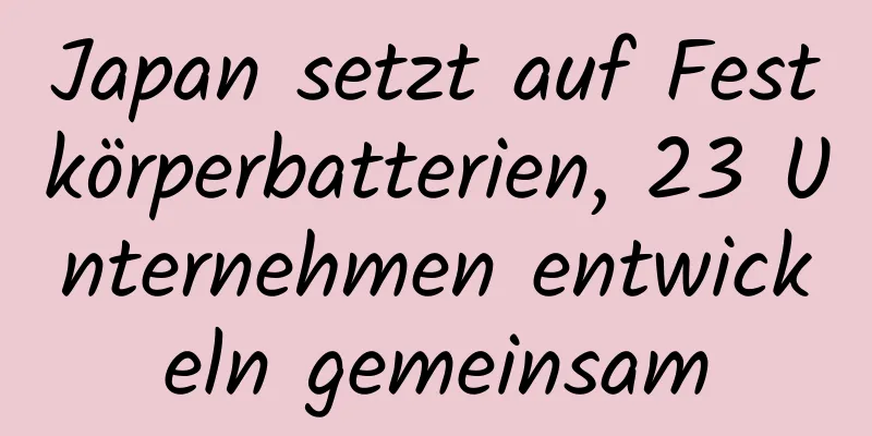 Japan setzt auf Festkörperbatterien, 23 Unternehmen entwickeln gemeinsam