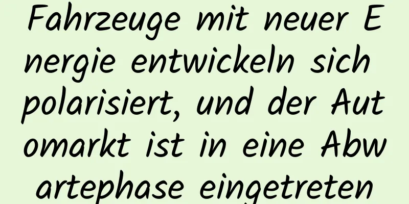 Fahrzeuge mit neuer Energie entwickeln sich polarisiert, und der Automarkt ist in eine Abwartephase eingetreten