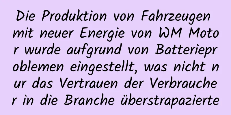 Die Produktion von Fahrzeugen mit neuer Energie von WM Motor wurde aufgrund von Batterieproblemen eingestellt, was nicht nur das Vertrauen der Verbraucher in die Branche überstrapazierte