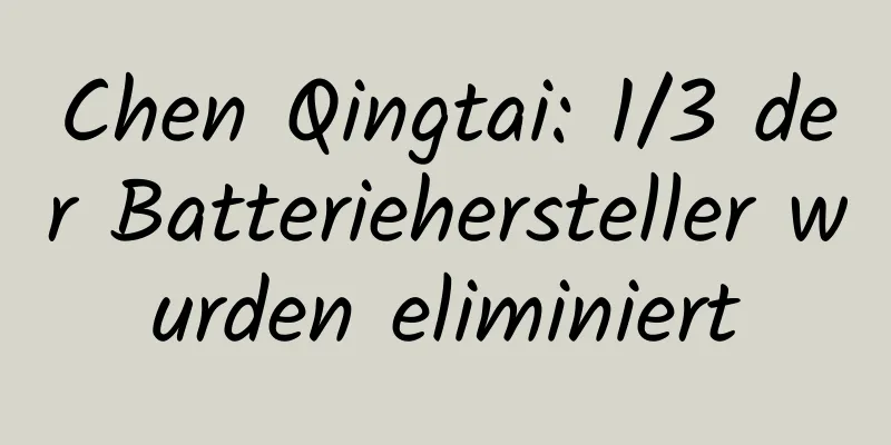 Chen Qingtai: 1/3 der Batteriehersteller wurden eliminiert
