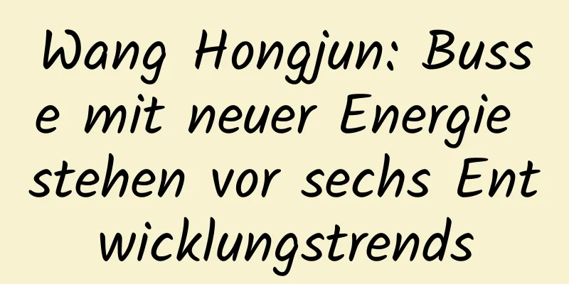 Wang Hongjun: Busse mit neuer Energie stehen vor sechs Entwicklungstrends