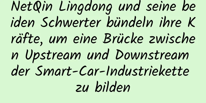 NetQin Lingdong und seine beiden Schwerter bündeln ihre Kräfte, um eine Brücke zwischen Upstream und Downstream der Smart-Car-Industriekette zu bilden