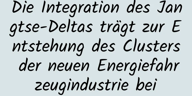 Die Integration des Jangtse-Deltas trägt zur Entstehung des Clusters der neuen Energiefahrzeugindustrie bei