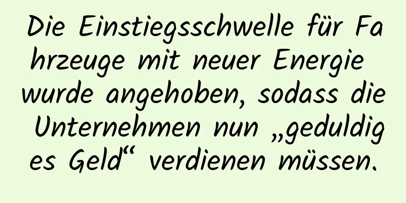 Die Einstiegsschwelle für Fahrzeuge mit neuer Energie wurde angehoben, sodass die Unternehmen nun „geduldiges Geld“ verdienen müssen.