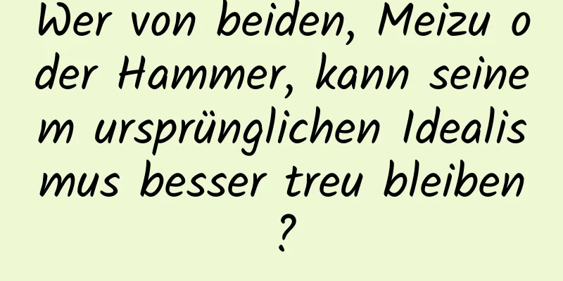 Wer von beiden, Meizu oder Hammer, kann seinem ursprünglichen Idealismus besser treu bleiben?