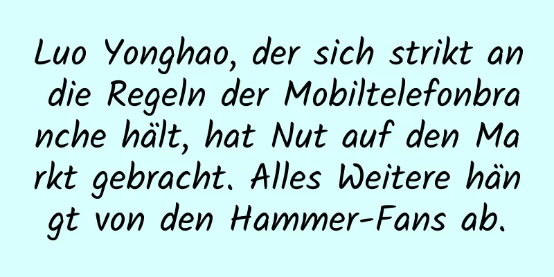 Luo Yonghao, der sich strikt an die Regeln der Mobiltelefonbranche hält, hat Nut auf den Markt gebracht. Alles Weitere hängt von den Hammer-Fans ab.