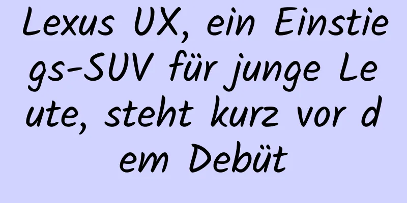 Lexus UX, ein Einstiegs-SUV für junge Leute, steht kurz vor dem Debüt