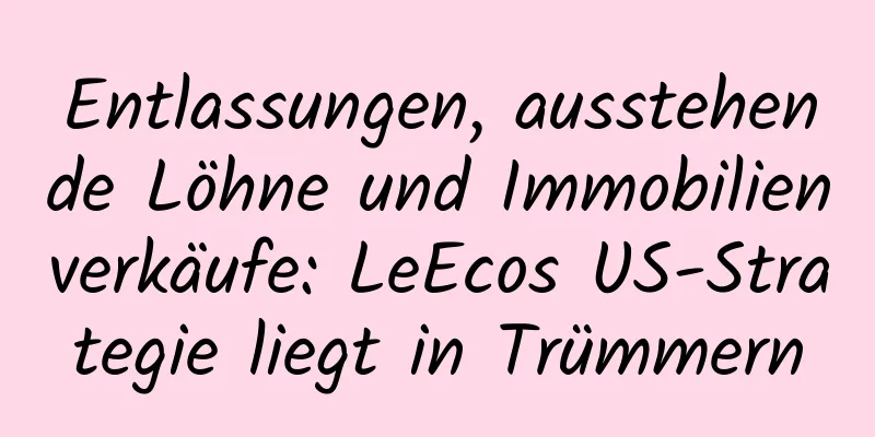 Entlassungen, ausstehende Löhne und Immobilienverkäufe: LeEcos US-Strategie liegt in Trümmern