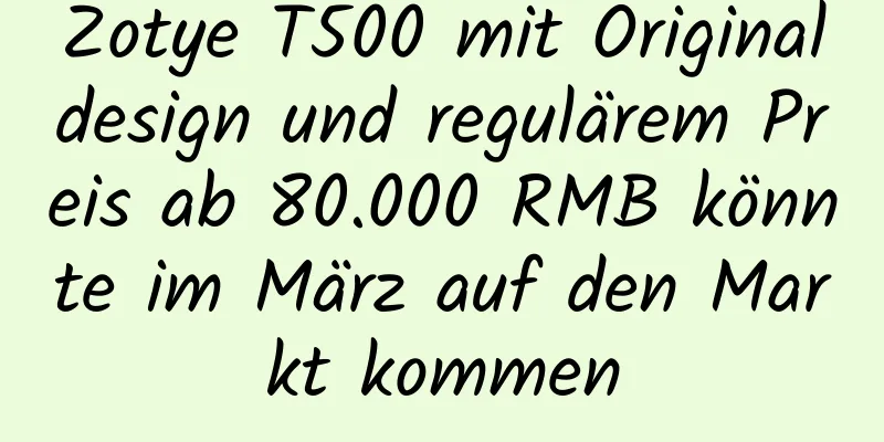Zotye T500 mit Originaldesign und regulärem Preis ab 80.000 RMB könnte im März auf den Markt kommen
