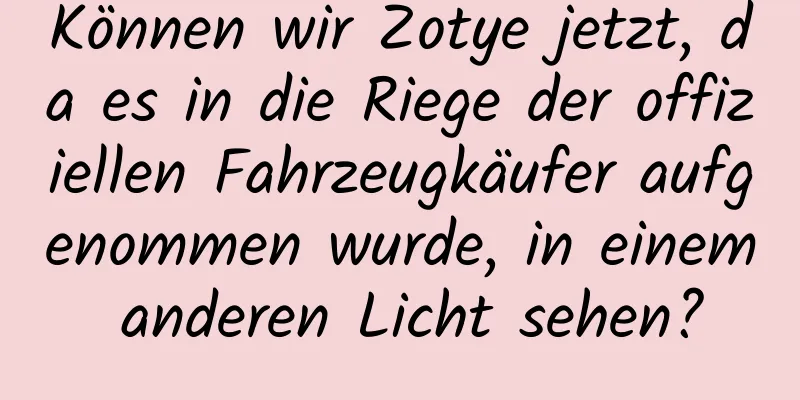 Können wir Zotye jetzt, da es in die Riege der offiziellen Fahrzeugkäufer aufgenommen wurde, in einem anderen Licht sehen?