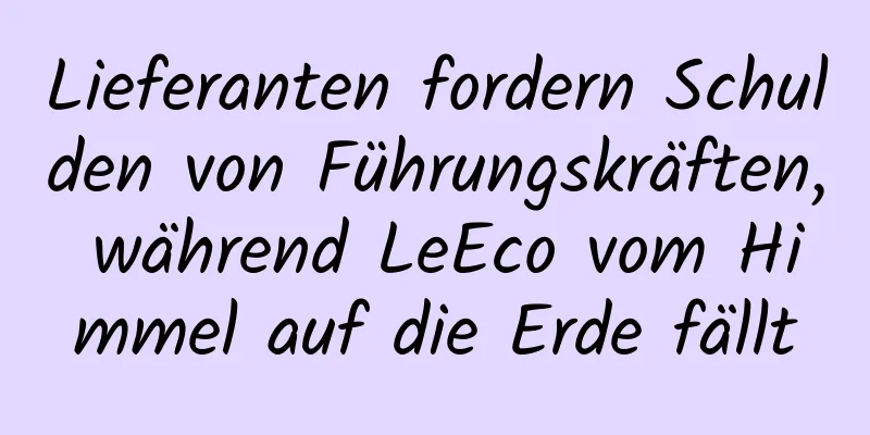 Lieferanten fordern Schulden von Führungskräften, während LeEco vom Himmel auf die Erde fällt