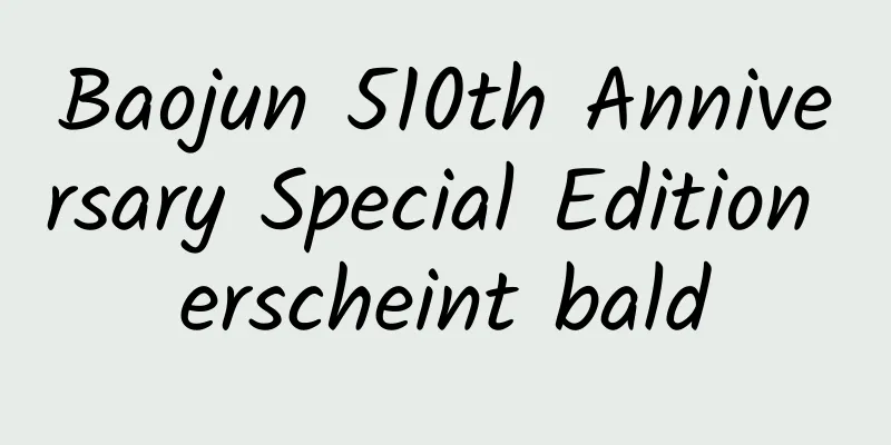 Baojun 510th Anniversary Special Edition erscheint bald