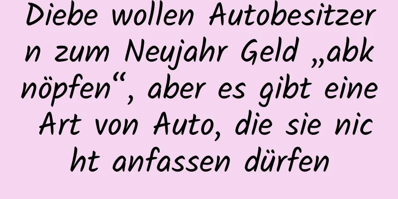 Diebe wollen Autobesitzern zum Neujahr Geld „abknöpfen“, aber es gibt eine Art von Auto, die sie nicht anfassen dürfen