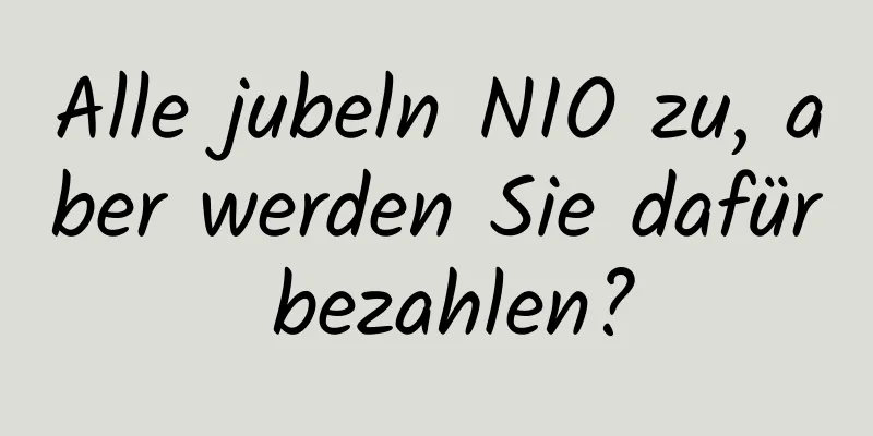 Alle jubeln NIO zu, aber werden Sie dafür bezahlen?
