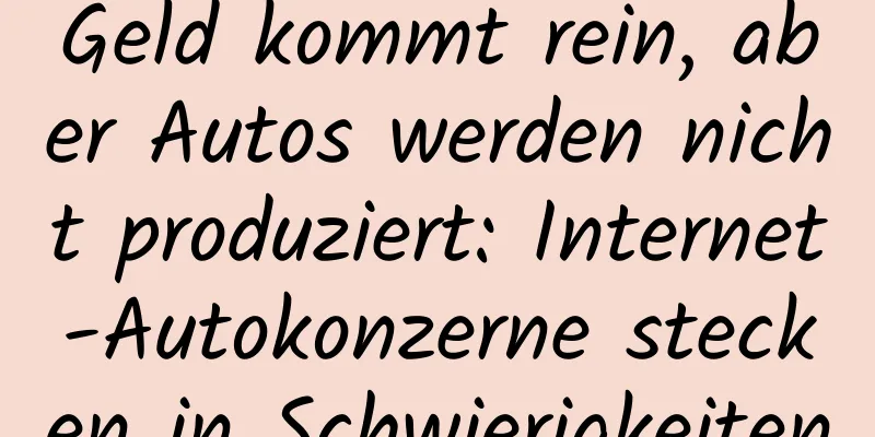 Geld kommt rein, aber Autos werden nicht produziert: Internet-Autokonzerne stecken in Schwierigkeiten