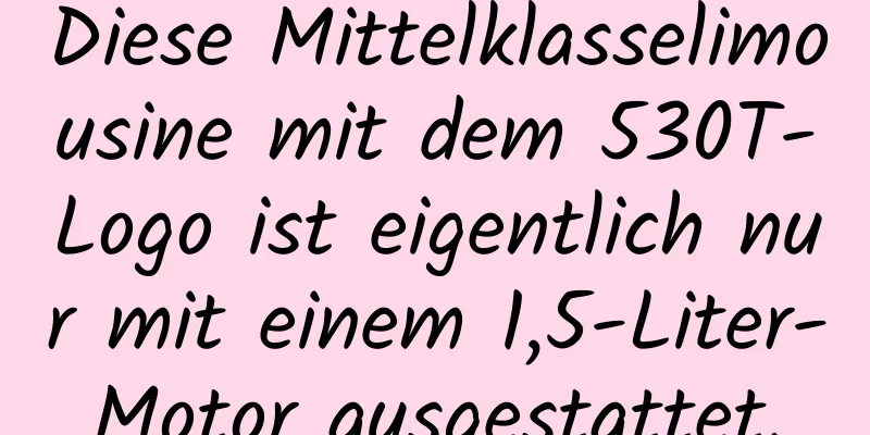 Diese Mittelklasselimousine mit dem 530T-Logo ist eigentlich nur mit einem 1,5-Liter-Motor ausgestattet.