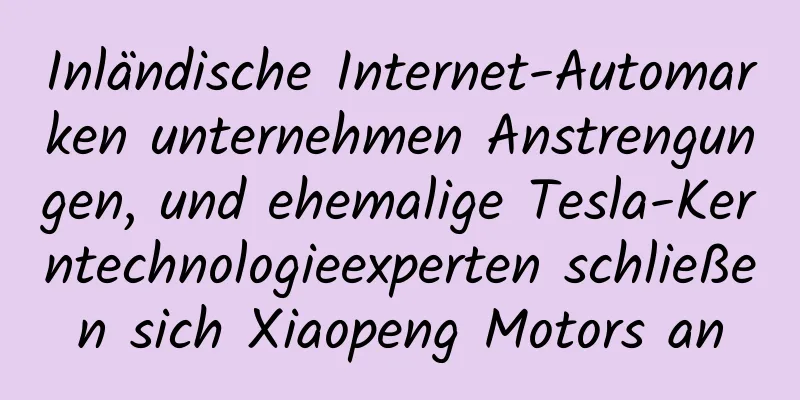 Inländische Internet-Automarken unternehmen Anstrengungen, und ehemalige Tesla-Kerntechnologieexperten schließen sich Xiaopeng Motors an